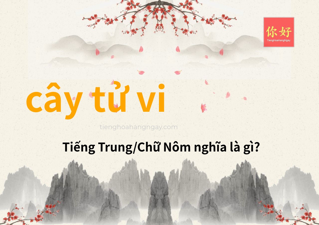 cây tử vi tiếng Trung là gì?